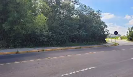 Terreno Extenso de 5.452m² no Bairro Barnabé