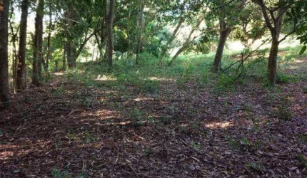 Chácara para Venda em Álvares Machado, Jardim Raio Do Sol