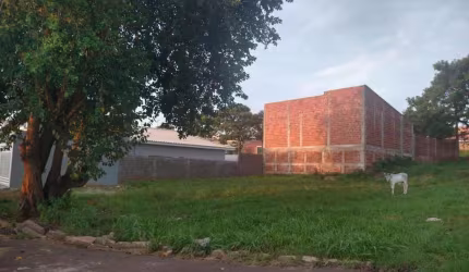 Alfredo marcondes vende-se terreno próximo ao centro.
