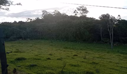 Chácara para Venda em Regente Feijó, Área Rural