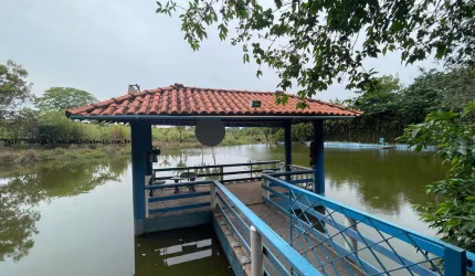 Sítio / Chácara para Venda em Presidente Prudente, AEROPORTO, 3 dormitórios, 1 suíte, 1 banheiro