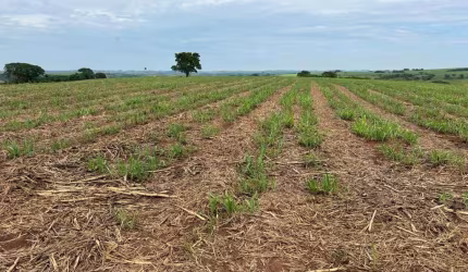 Sítio / Chácara para Venda em Ouro Branco, Rural