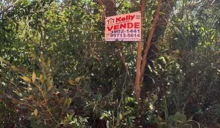 Terreno para Venda em Martinópolis, Laranja  Doce