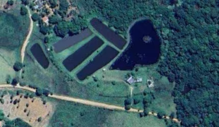 Sítio com 2 dormitórios à venda, 60000 m² por R$ 1.300.000,00 - Zona Rural - Rochedo/MS