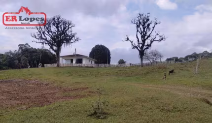 Chácara com 2 dormitórios à venda, 33444 m² por R$ 1.500.000,00 - Santa Gema - Colombo/PR