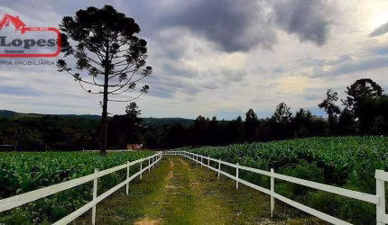 Chácara com 2 dormitórios à venda, 24200 m² por R$ 424.000,00 - Serra do Araçatuba - Tijucas do Sul/PR