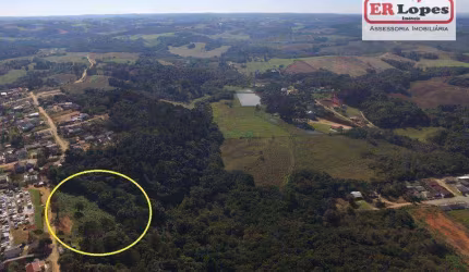 Área à venda, 35733 m² por R$ 790.000,00 - Centro - Quitandinha/PR