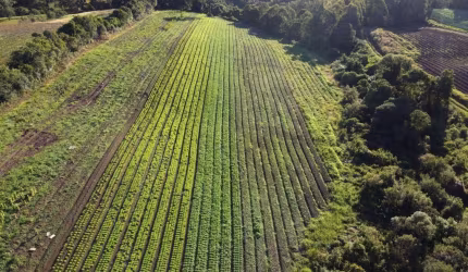 Terreno à venda no São Cristóvão (Distrito), Flores da Cunha  por R$ 450.000