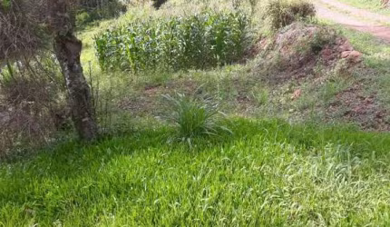 Chácara / sítio à venda no Santa Lúcia do Piaí, Caxias do Sul  por R$ 165.000