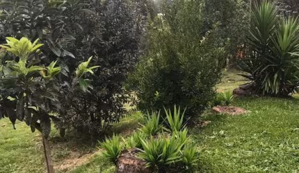 Chácara / sítio à venda na Vila Seca, Caxias do Sul  por R$ 267.000
