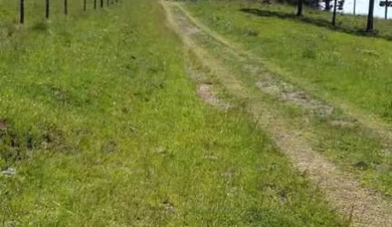 Terreno à venda em Criúva, Caxias do Sul  por R$ 583.000
