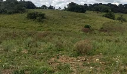 Chácara / sítio à venda na Zona Rural, São Francisco de Paula  por R$ 450.000