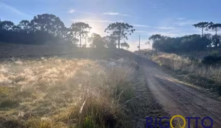 Chácara / sítio à venda na Zona Rural, São Francisco de Paula  por R$ 180.000