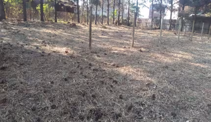 Terreno à venda, 556 m² por R$ 380.000 - Vale do Sol - Nova Lima/MG