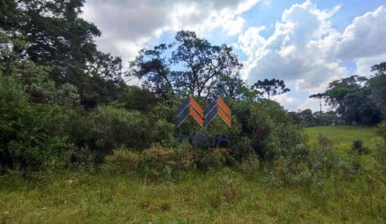 Terreno à venda, 2160 m² por R$ 280.000,00 - Borda Do Campo - São José dos Pinhais/PR