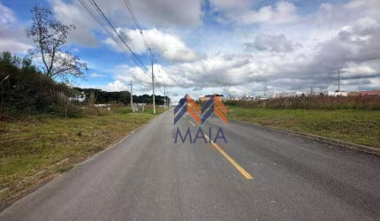 Terreno à venda, 360 m² por R$ 270.000,00 - Rio Pequeno - São José dos Pinhais/PR