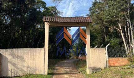 Chácara com 1 dormitório à venda, 20000 m² por R$ 549.000 - Area Rural - São José dos Pinhais/PR