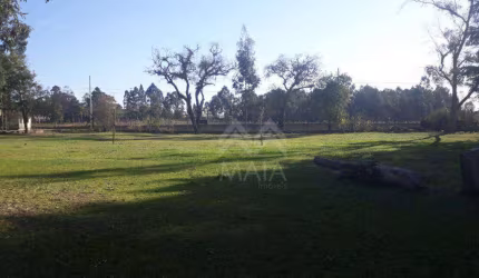 Área à venda, 5000 m² por R$ 1.980.000,00 - Guatupê - São José dos Pinhais/PR