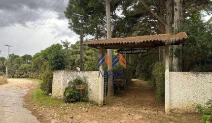 Chácara à venda, 12859 m² por R$ 901.000,00 - Cotia - São José dos Pinhais/PR