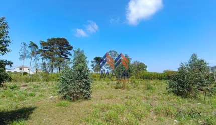 Terreno para alugar, 4500 m² por R$ 8.500,00/mês - Afonso Pena - São José dos Pinhais/PR