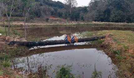 Chácara Colônia Murici