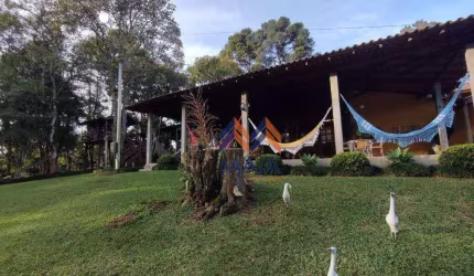Chacara em São Jose dos Pinhais