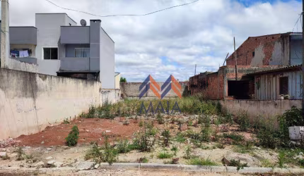 Terreno à venda, 256 m² por R$ 350.000,00 - Afonso Pena - São José dos Pinhais/PR