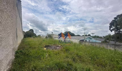 Excelente Terreno proximo a Rodovia Br 376 em Sao Jose dos Pinhais