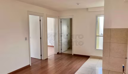Apartamento à Venda ou para Aluguel - 2 Quartos Próximo à Havan
