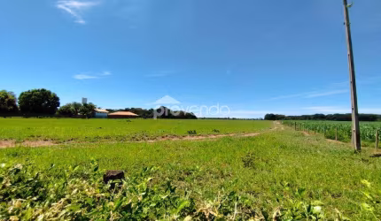 SÍTIO AS MARGENS DO RIO DOS BOIS - 4,84 HECTARES - MUNICÍPIO DE CEZARINA