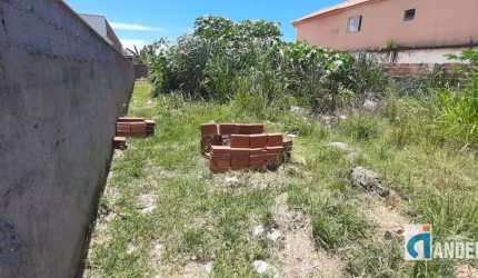 JA42312 - Oportunidade