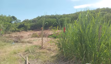LOTE DE FUNDOS PARA LAGOA DO PARQUE NANCI