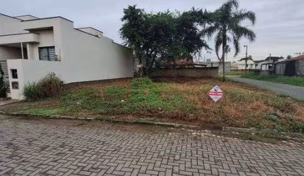Terreno em Balneário Piçarras: 250m² Aterrado em Rua Pavimentada