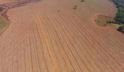 Fazenda  Venda Patos de Minas/MG dupla aptidão, agricultura e pecuária