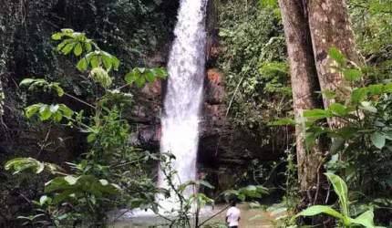 Fazenda à venda em Mambaí/GO