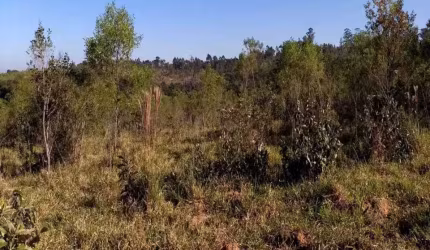 Terreno à venda em Itu/SP