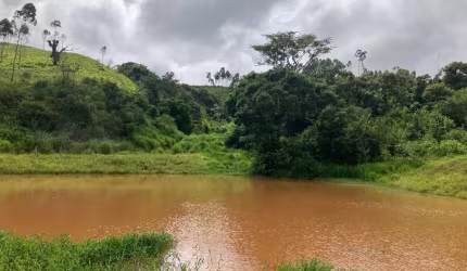 Fazenda Execelente na Região Itapira–São Paulo area de  106 Alqueires(paulista)