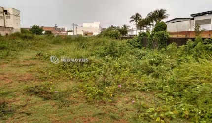 Venda Lote-Área-Terreno Pitangueiras Lauro de Freitas