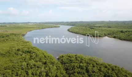 Venda Lote-Área-Terreno Ilha de Boipeba Cairu