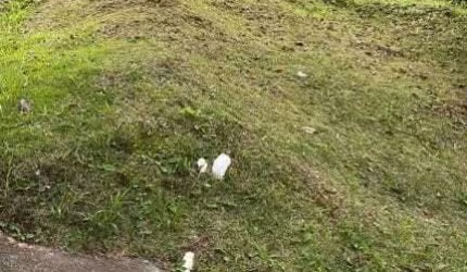 Real Park - Terreno à venda em Mogi das Cruzes/SP