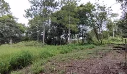 Terreno à venda em Mogi das Cruzes/SP