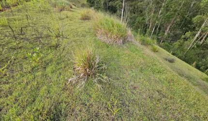 Mosaico Horizontes - Terreno à venda em Mogi das Cruzes/SP