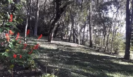 Sítio à venda em Suzano/SP