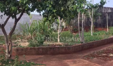 Terreno 329 m² - Jardim Higienópolis