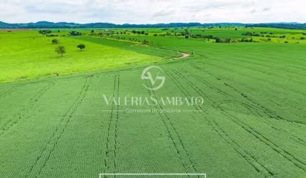 Fazenda Minuano II - Linha 21 - 1.434 ha - Cacoal - Rondônia