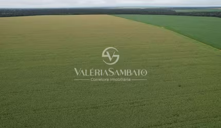 Fazenda à venda 1.456 hectares - Vera - MT