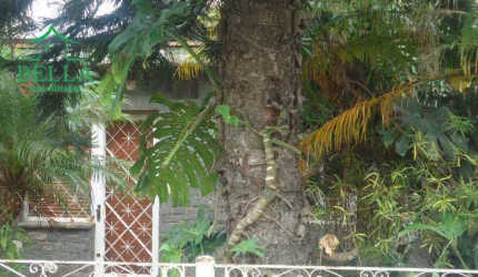 Terreno residencial à venda, Vila Pirituba, São Paulo.