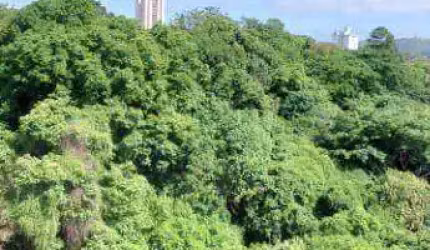 Apartamento com 2 dormitórios à venda, 46 m² por R$ 370.000,00 - Pirituba - São Paulo/SP