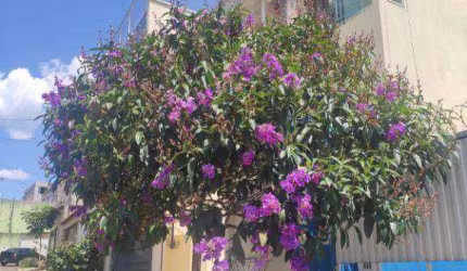 Casa com 3 quartos à venda na Rua das Andorinhas, Paraíso (Polvilho), Cajamar, 180 m2 por R$ 660.000