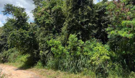 Terreno à venda, 400 m² por R$ 300.000,00 - Jardim Paulista - Atibaia/SP